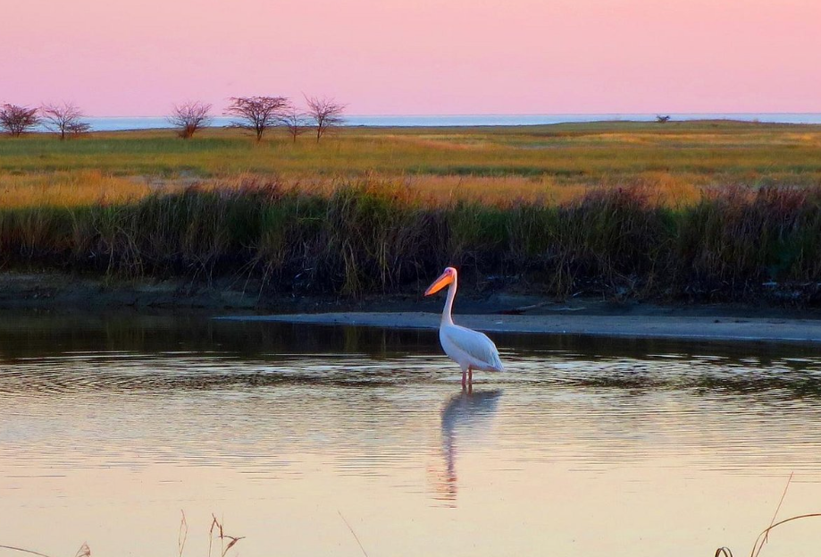 Nata Bird Sanctuary, Near Nata, Central Region, Botswana